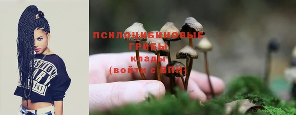 метадон Верея