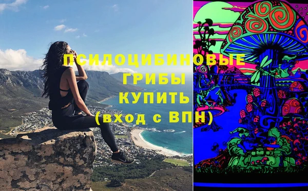 не бодяженный Верхний Тагил
