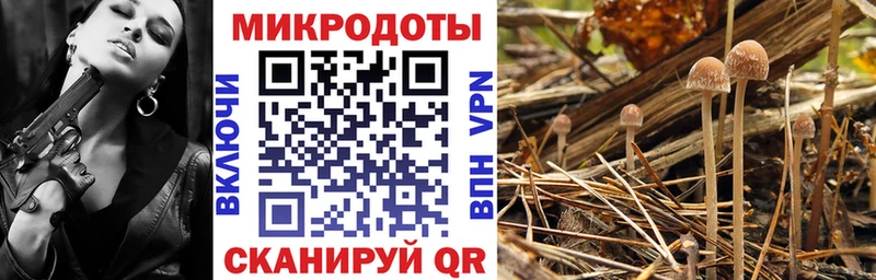 купить   ОМГ ОМГ ссылки  Галлюциногенные грибы GOLDEN TEACHER  Мончегорск 