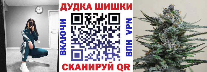 даркнет сайт  Мончегорск  Конопля сатива 